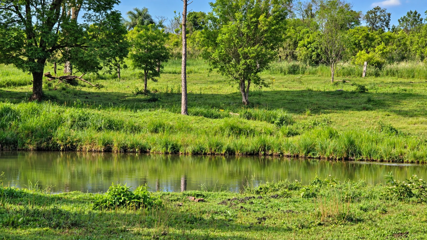 Estanque para pesca recreativa